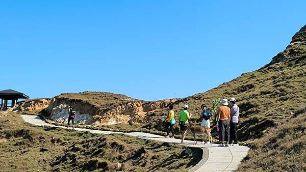 馬祖馬拉松跑玩趣(四)大坵島餵鹿趣