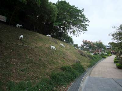 DSCF0350-400.jpg