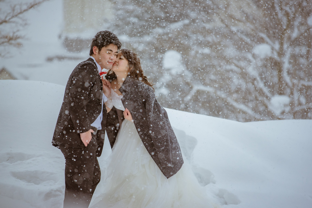 DSC_9956.JPG DSC_9956.JPG