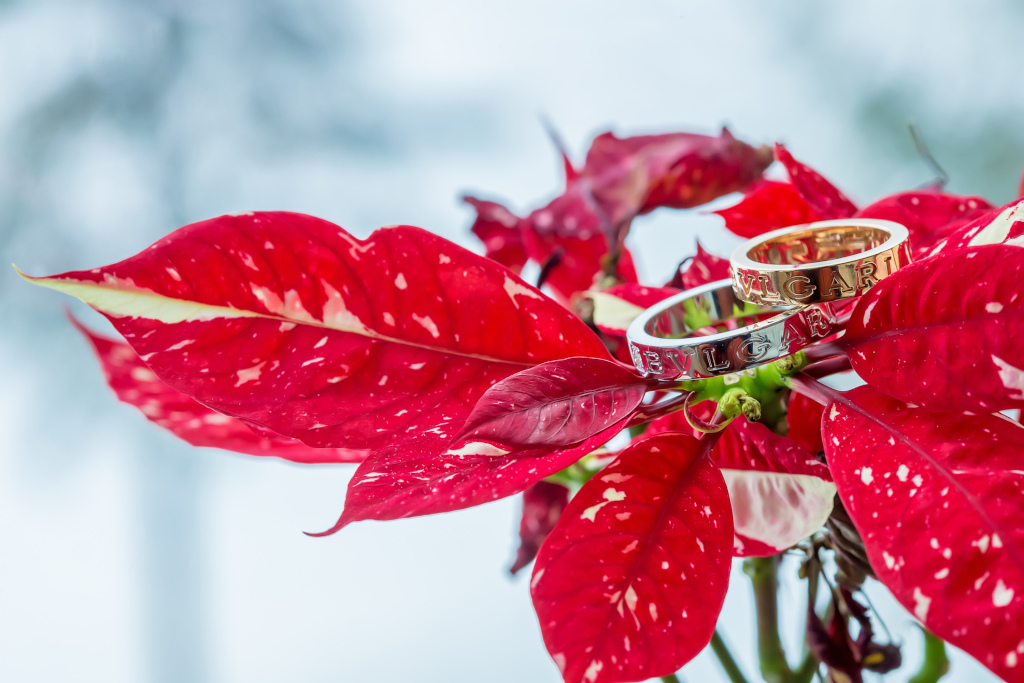 IMG_3614.JPG IMG_3614.JPG