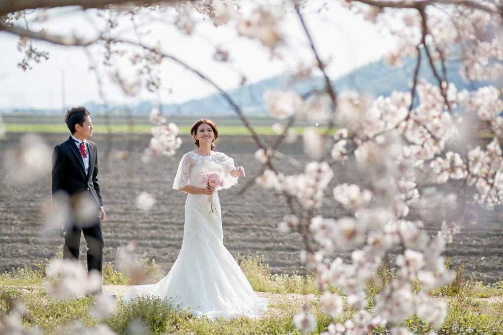 NYUKO_SELECTED_0069.JPG NYUKO_SELECTED_0069.JPG