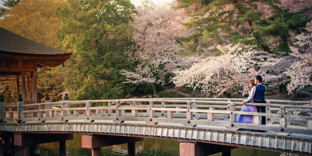 NYUKO_SELECTED_0026.JPG NYUKO_SELECTED_0026.JPG