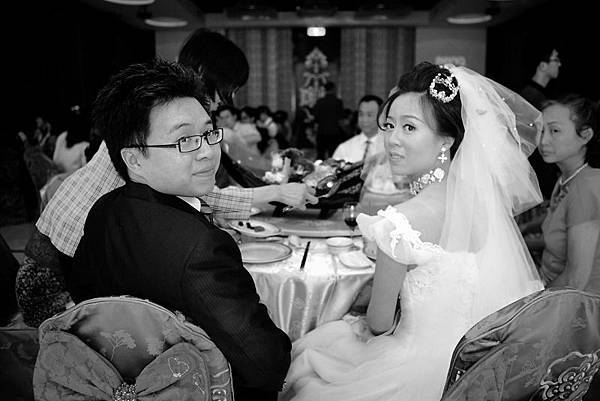 cow_wedding0666.jpg