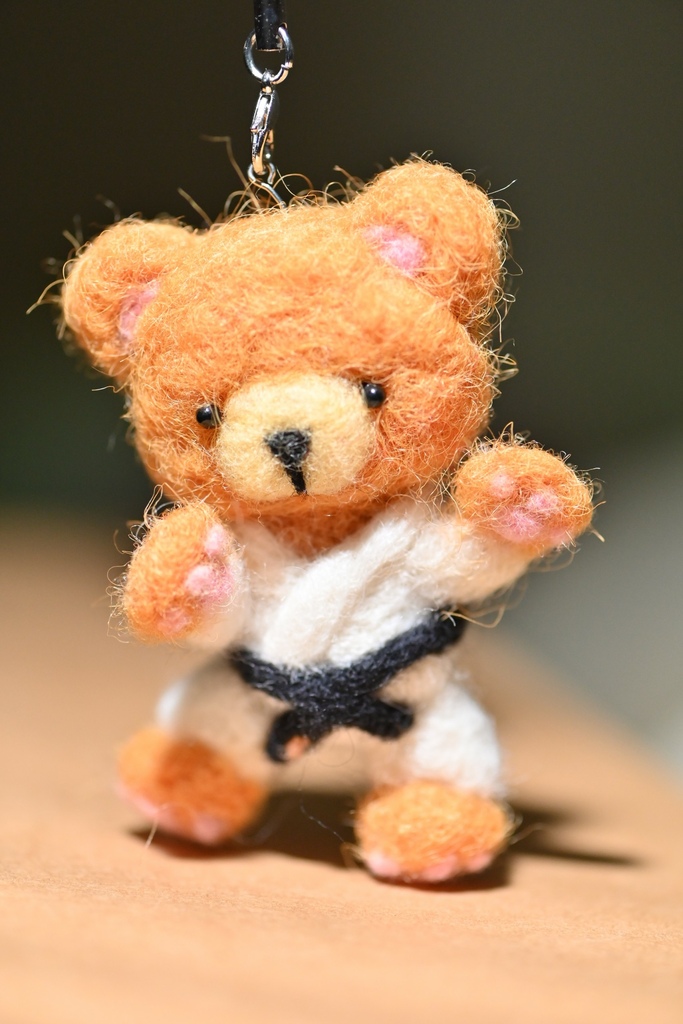 【九櫻柔道服迷亂】看不懂日文也要勇闖日本拍賣網站｜搞笑「柔道