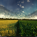 Desktop 20090125