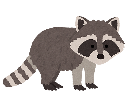 【時事日文】「浣熊」和「爛醉/酩酊大醉」的日文怎麼說？