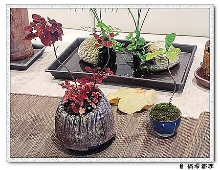 【臺灣旅遊・展覽】一方陶境・霜月植語・陳雨盛掌心裡的小陶盆栽