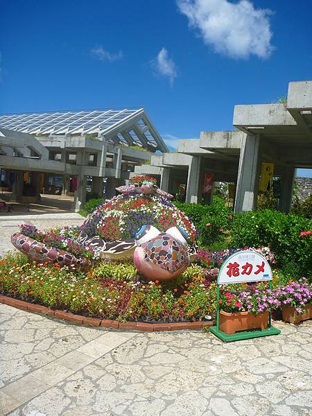 OKINAWA (135).JPG