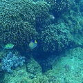 P6210752.JPG