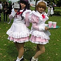 P1011482.JPG