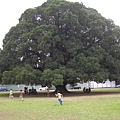 P1010671.JPG
