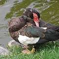 P1010674.JPG