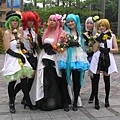 P1010820.JPG