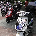 P1010875.JPG