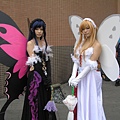 P1010580.JPG