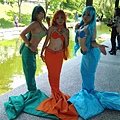 20140823_123611.jpg