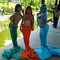 20140823_123620.jpg
