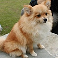 2002-35 077.jpg