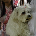 2002-4 024.jpg