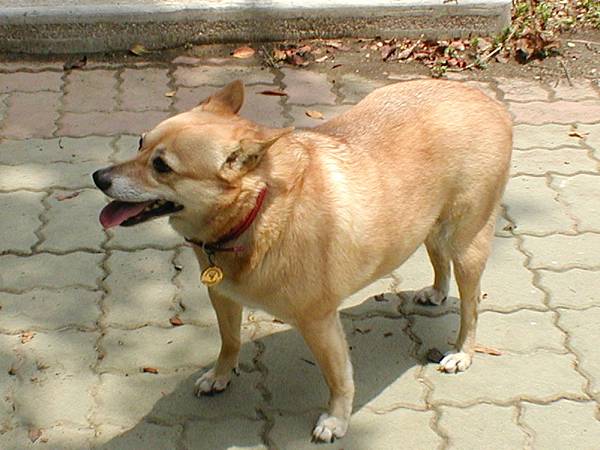 2002-55 010.jpg