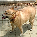 2002-55 010.jpg