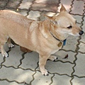 2002-55 011.jpg