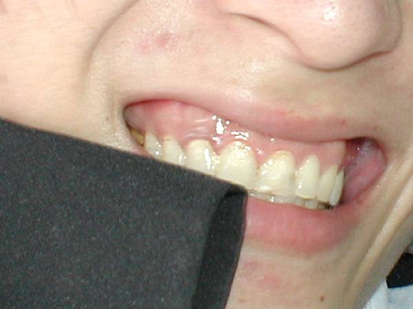 2002-57 022.jpg