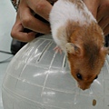 2002-7 048.jpg
