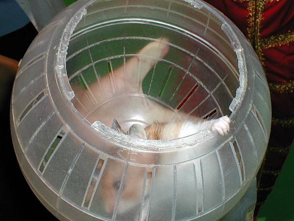 2002-73 082.jpg