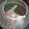 2002-73 082.jpg