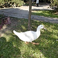 2002-117 051.jpg