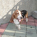 2002-117 062.jpg