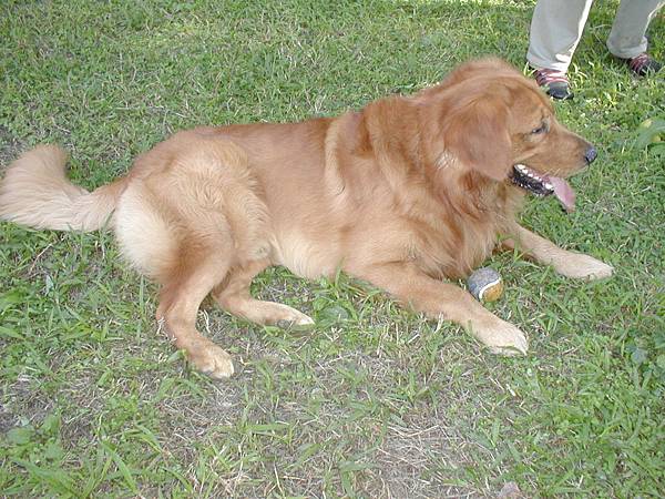 2002-118 035.jpg