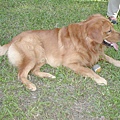 2002-118 035.jpg