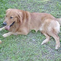 2002-118 036.jpg