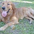 2002-118 038.jpg
