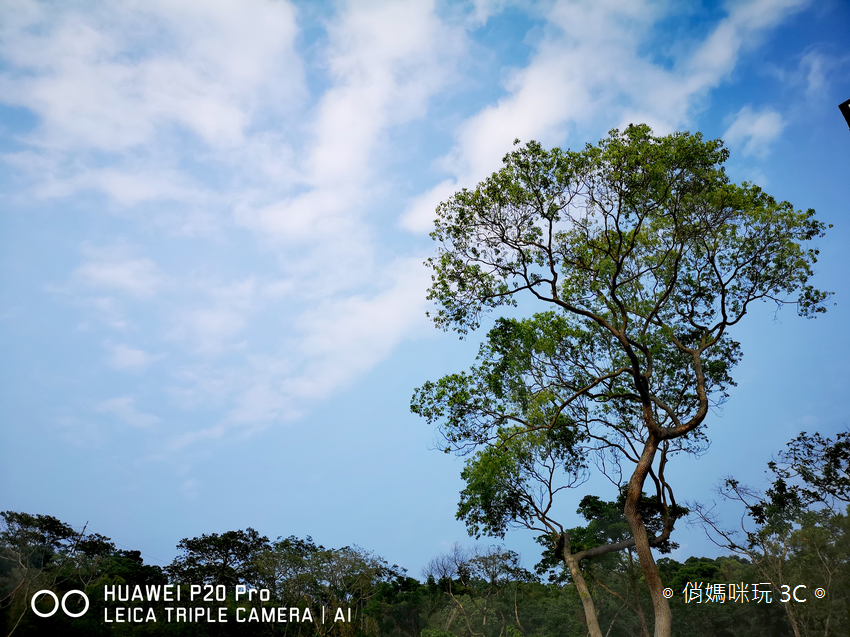 HUAWEI P20 Pro 拍照效果(俏媽咪玩3C)(138).png