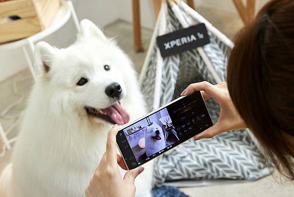 圖說三、Xperia 1 II帶來動物眼即時眼部追蹤對焦功能，搭配高速連拍，輕鬆拍下寵物玩耍的瞬間，甚至連毛流都能清晰捕捉！(1).jpg