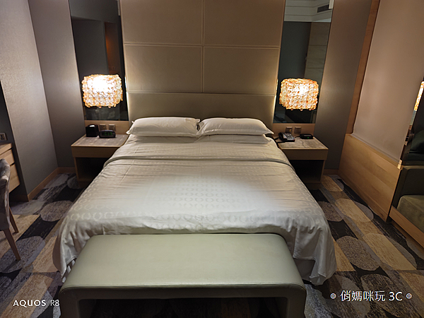 SHARP AQUOS R8s 拍照分享 (俏媽咪玩 3C) (92).png