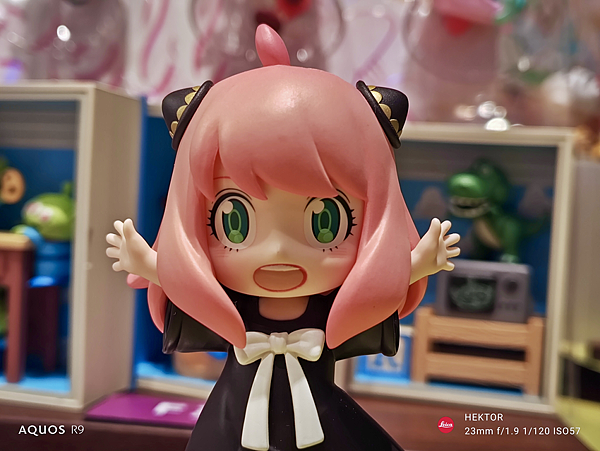 SHARP AQUOS R9 次世代旗艦-相機實測拍照分享 (俏媽咪玩 3C) (104).png