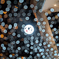 Google Pixel 9 智慧型手機開箱實測功能介紹分享評測心得-相機拍照效果 (俏媽咪玩 3C) (104).png