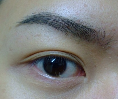 心得 Visee 五色眼影g 4 極細眉筆gy001 精華區makeup 批踢踢實業坊