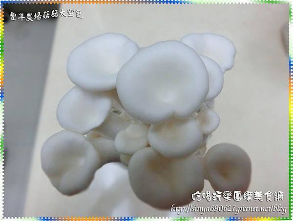 白雪菇第8天.JPG