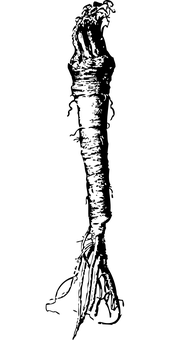 0531-2.png