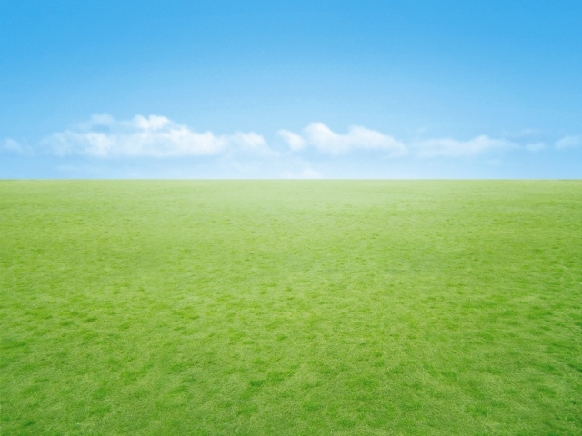 4471589_s.jpg