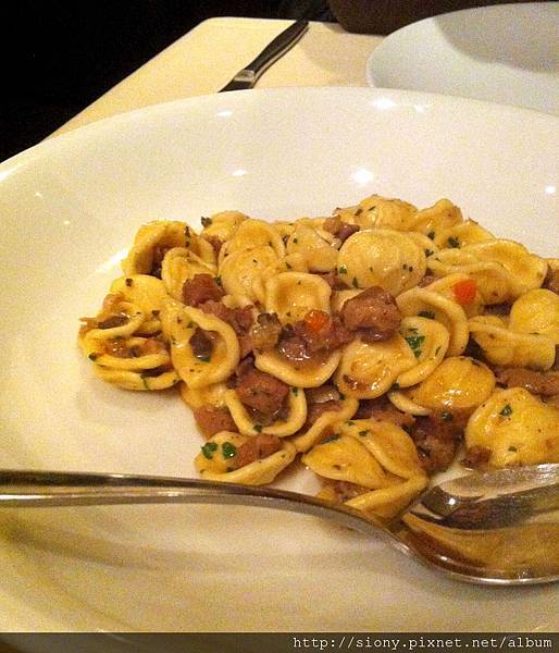 orecchiette, lamb ragu