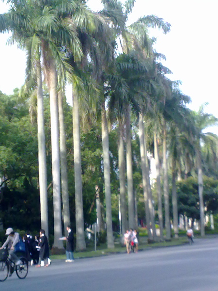 20100617297.jpg