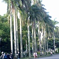 20100617297.jpg