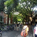 20100617294.jpg