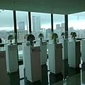 20100831595.jpg